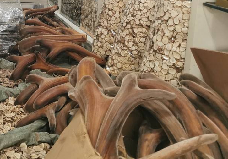 新西蘭鹿角進(jìn)口報(bào)關(guān)資質(zhì)