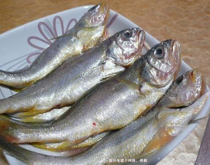 阿根廷冷凍石首魚進(jìn)口報(bào)關(guān)資料