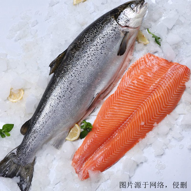挪威三文魚進口報關(guān)資料