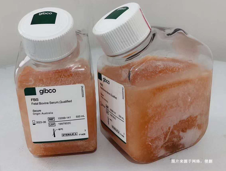 進口新西蘭牛血清蛋白報關(guān)資質(zhì)