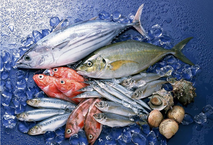 水產(chǎn)品進(jìn)口清關(guān)所需資料流程_越南沙丁魚報(bào)關(guān)代理