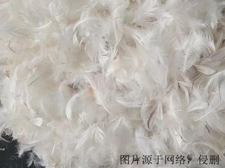 越南鴨毛進(jìn)口報(bào)關(guān)資料
