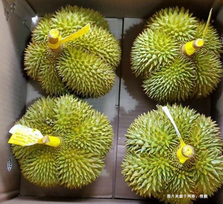 深圳機場進口泰國榴蓮報關(guān)資料