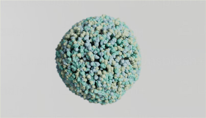 美國細(xì)胞進(jìn)口報(bào)關(guān)的注意事項(xiàng)_生物制品細(xì)胞清關(guān)流程