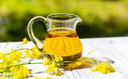 進(jìn)口菜籽油報(bào)關(guān)的詳細(xì)流程，get！