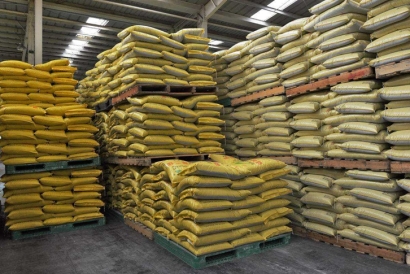 廣州化肥進口報關公司-18年肥料進口報關行