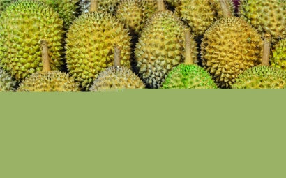 馬來西亞榴蓮進(jìn)口報關(guān)代理一站式服務(wù)公司-全國聯(lián)網(wǎng)為您服務(wù)