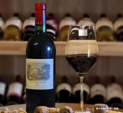 上海港食品酒水進口報關(guān)清關(guān)服務(wù)的重要性、流程及細節(jié)