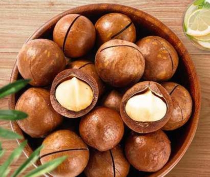 南非夏威夷果進口報關資料-19年廣州堅果進口報關行