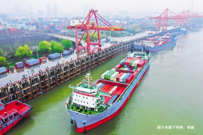 冰島進口報關公司哪家好？冰島冷凍干海參清關手續