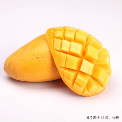 越南芒果進口清關流程_胡志明港海運水果到廣州