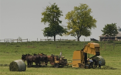 打捆機進(jìn)口清關(guān)需要的流程以及費用