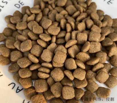 狗糧進口清關流程怎么操作？廣州狗糧進口報關資料