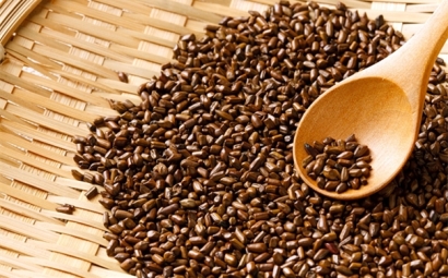 上海進(jìn)口決明子清關(guān)流程以及抽檢注意事項