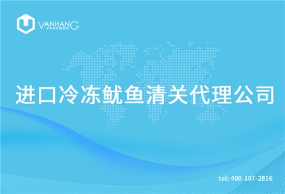 進(jìn)口冷凍魷魚(yú)清關(guān)代理公司告訴你魷魚(yú)進(jìn)口流程