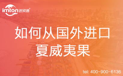 如何從國(guó)外進(jìn)口夏威夷果
