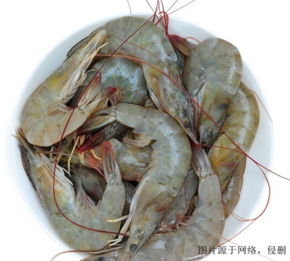 越南凡納濱對蝦進口報關流程-19年冷凍水產品報關行