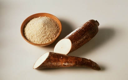 深圳木薯淀粉進(jìn)口清關(guān)代理服務(wù)