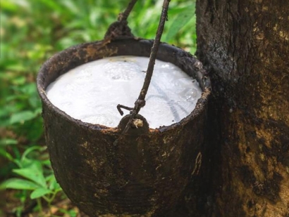 在大連橡膠進(jìn)口清關(guān)流程怎么樣？越南橡膠進(jìn)口關(guān)稅