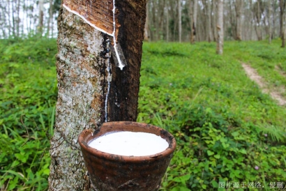 進(jìn)口天然橡膠清關(guān)流程及手續(xù)_越南橡膠進(jìn)口報(bào)關(guān)行