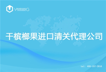 【干檳榔果進口清關(guān)代理公司】告訴你干檳榔果進口流程