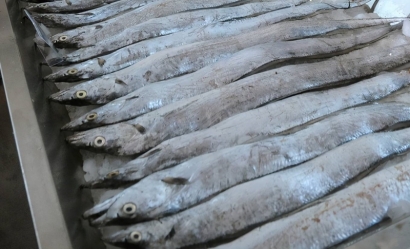 印度進(jìn)口凍帶魚報(bào)關(guān)的具體流程手續(xù)