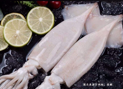 越南魷魚進口代理清關(guān)的時間周期是多長？