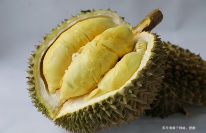 進口榴蓮到廣州清關(guān)要求_泰國榴蓮進口清關(guān)流程