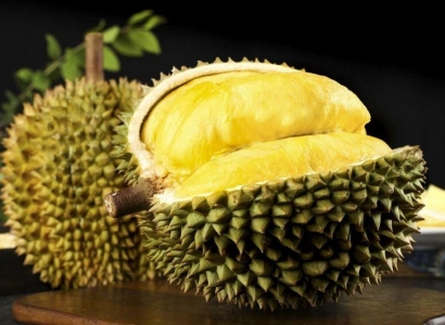 馬來西亞榴蓮進口報關資料7樣_貓山王榴蓮關稅