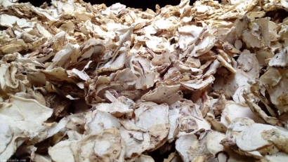 印尼魔芋可以進(jìn)口嗎？魔芋干進(jìn)口報關(guān)準(zhǔn)入國