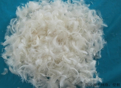 越南水洗鴨毛進口報關(guān)資料_上海羽絨進口清關(guān)流程