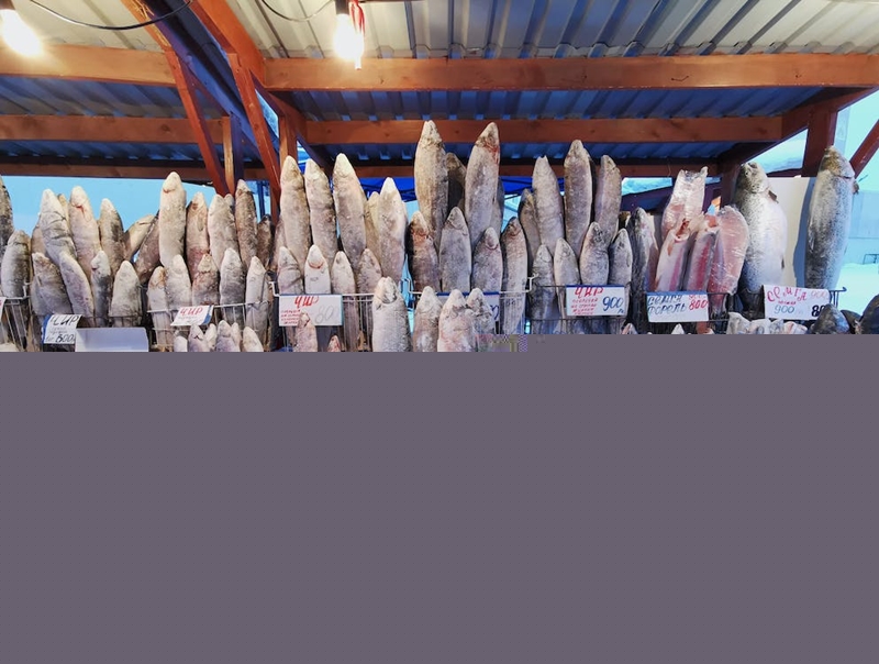 菲律賓凍魚進口報關_副本.jpg