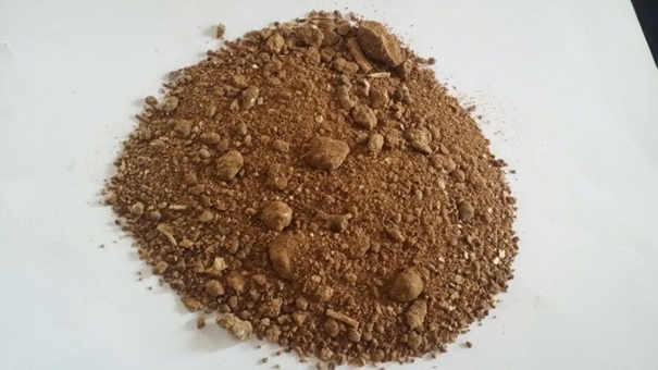 菜籽粕進口清關可以操作的公司有哪些 菜籽粕進口清關